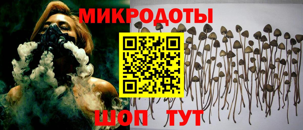 Псилоцибиновые грибы ЛСД Самара